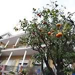 Continental 3*