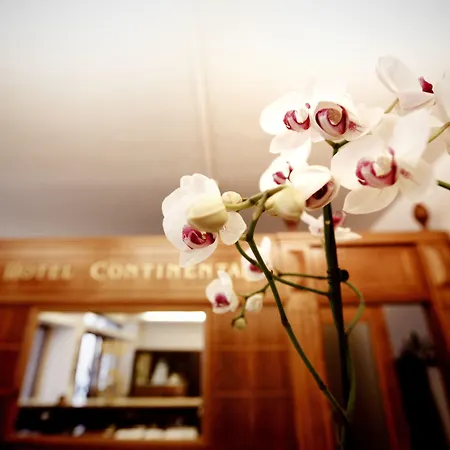 호텔 Continental 타오르미나