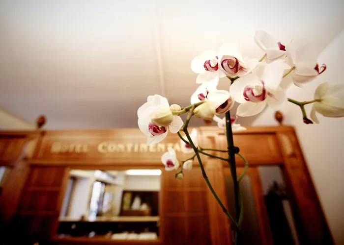 Hotel Continental Taormina